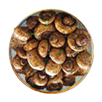 Mushrooms Starter 